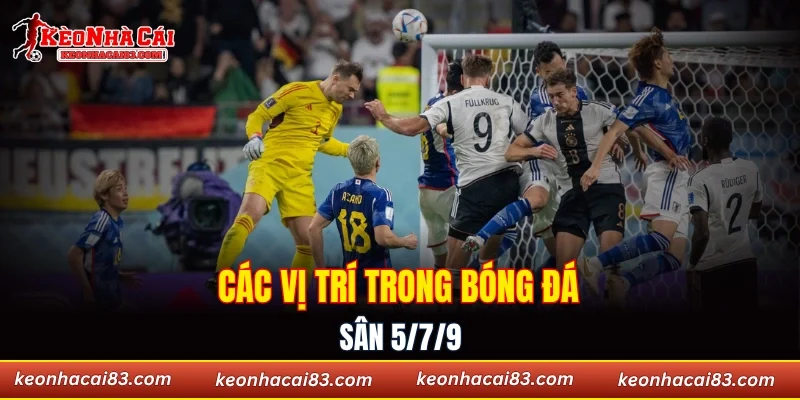 Các vị trí trong bóng đá sân 5/7/9