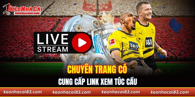 Chuyên trang có cung cấp link xem túc cầu