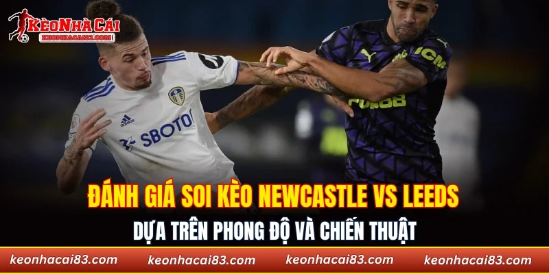 Đánh giá soi kèo Newcastle vs Leeds dựa trên phong độ và chiến thuật