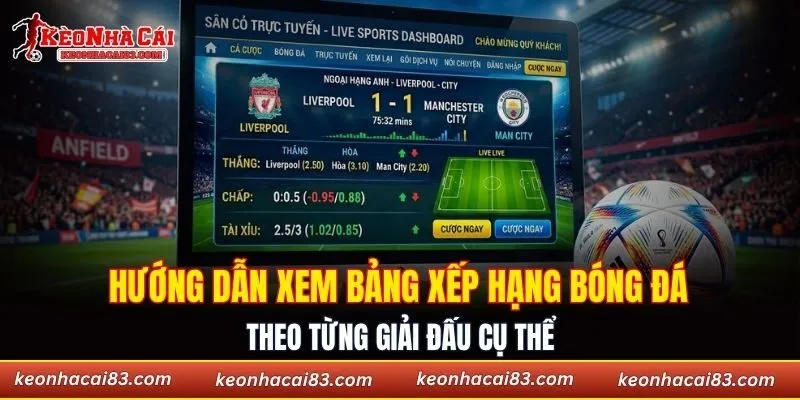 Hướng dẫn xem bảng xếp hạng bóng đá theo từng giải đấu
