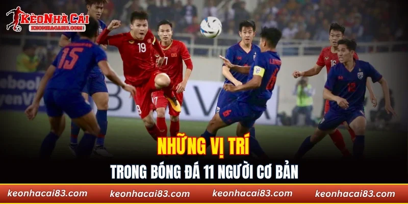 Những vị trí trong bóng đá 11 người cơ bản
