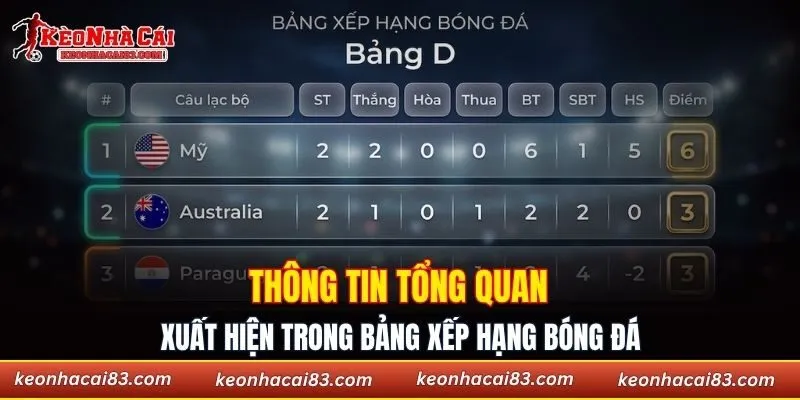 Thông tin tổng quan xuất hiện trong bảng xếp hạng bóng đá